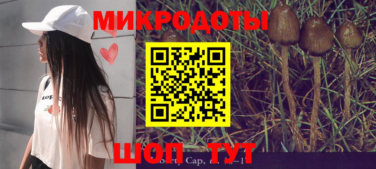 Псилоцибиновые грибы Psilocybine cubensis  цены   Златоуст  Вход с VPN 